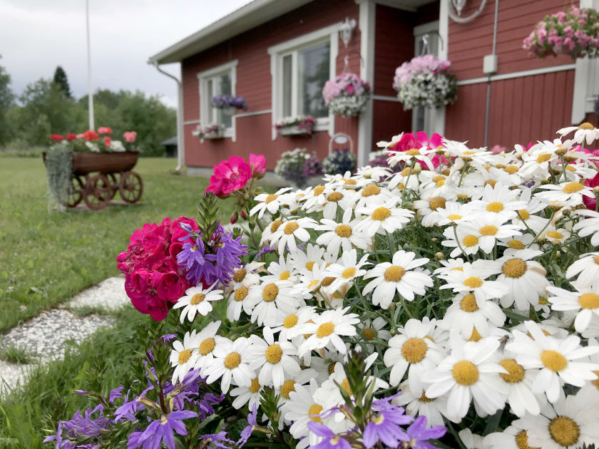 yle.fi