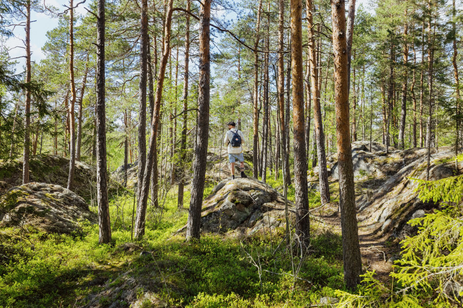 Ilmaston pelastus, teollisuuden etu, suitsia hakkuille – tänään paljastetaan esitys EU:n ilmastopaketiksi - Vimarsana News