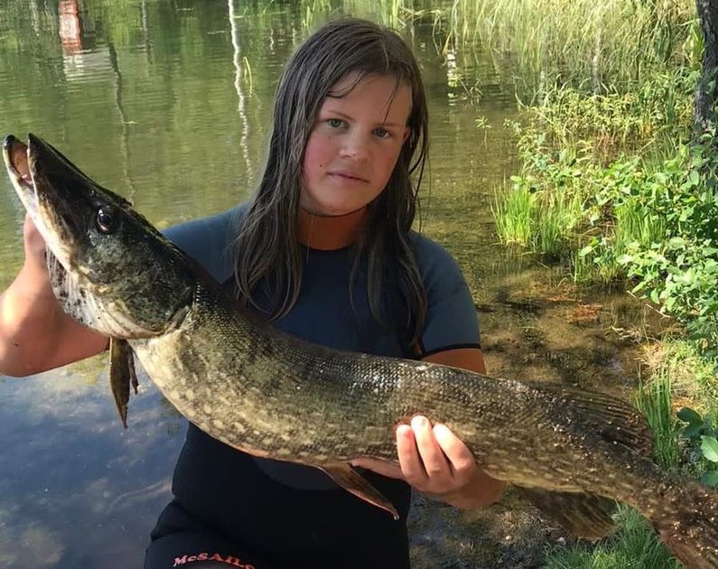 Hauki hyökkäsi 11-vuotiasta Anna Kupiaista päin viime kesänä – nyt hän pyydysti valtavan kalan: "Tuli tosi hyviä pihvejä" - Vimarsana News