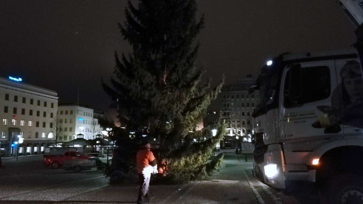 Aamuyöstä tuotu joulukuusi  2018 Hämeenlinnan torille