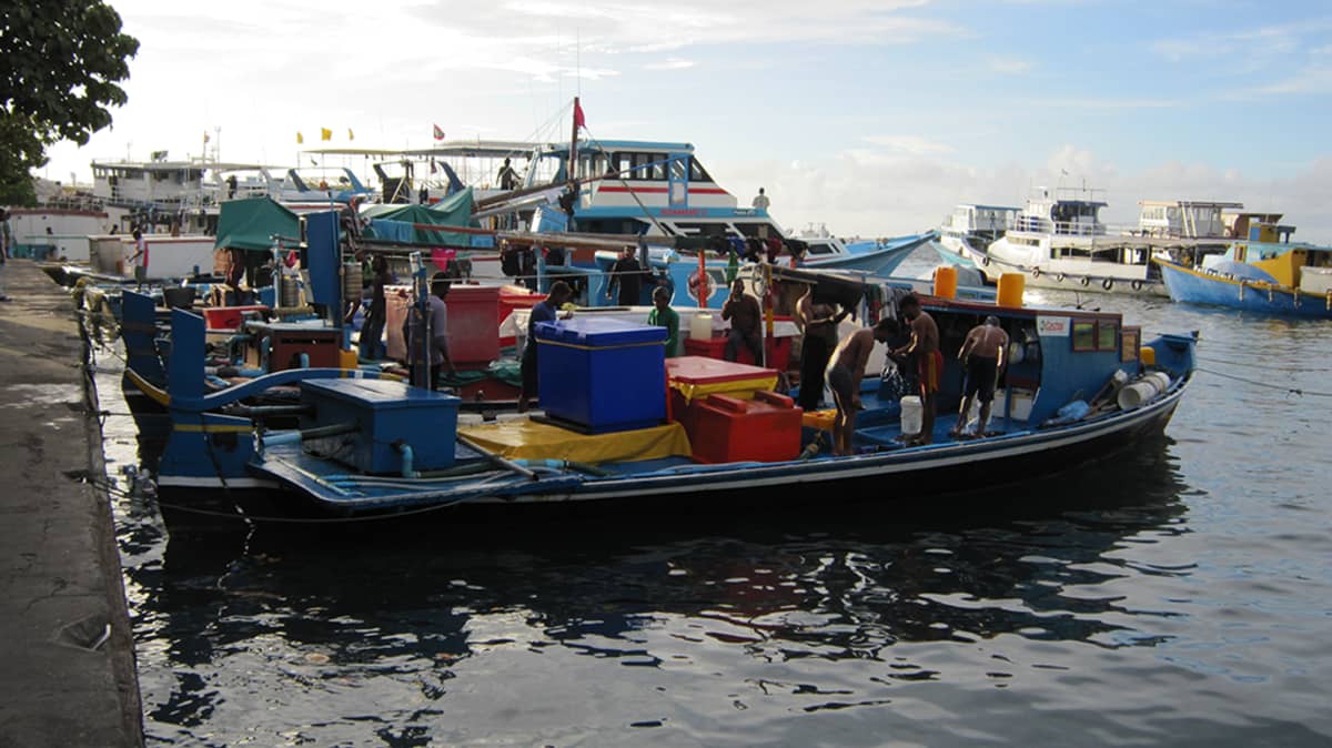 Malediivit elää kalastuksesta, joka leimaa pääkaupungin Malen ilmettä.