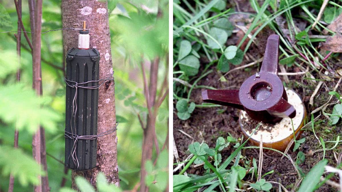 Kahden kuvan yhdistelmä kahdesta erilaisesta miinasta. Toinen on puuhun kiinnitetty putkimainen ja toinen maahan kaivettu.