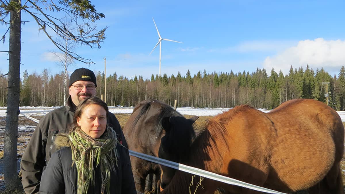 Harri Tryyki ja Katja Äijälä kotipihallaan Tervolassa. Taustalla näkyy tuulivoimala.