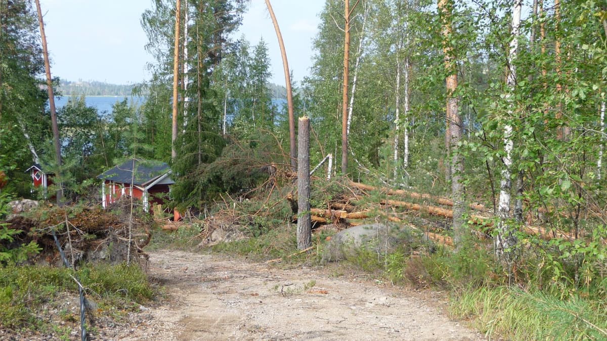 Asta-myrskyn kaatamia puita mökkitiellä