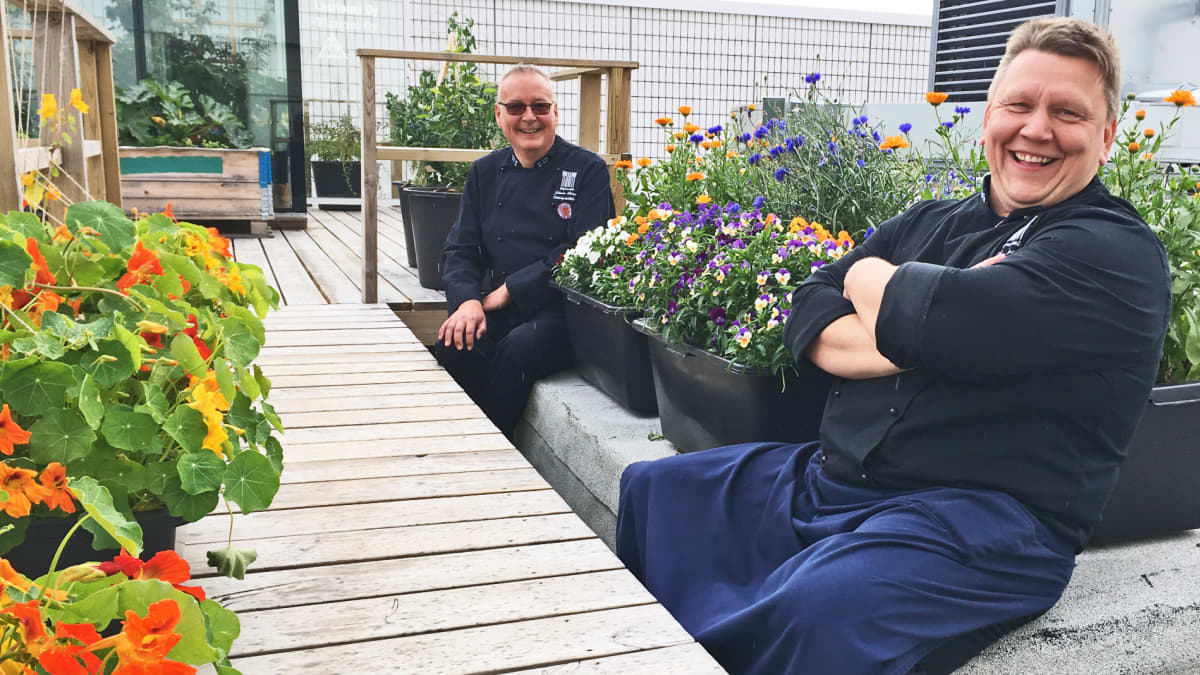 Ravintolan kattopuutarha kukoistaa Tampereella – oma viljelmä tuo  lautaselle imagoarvoa | Yle Uutiset