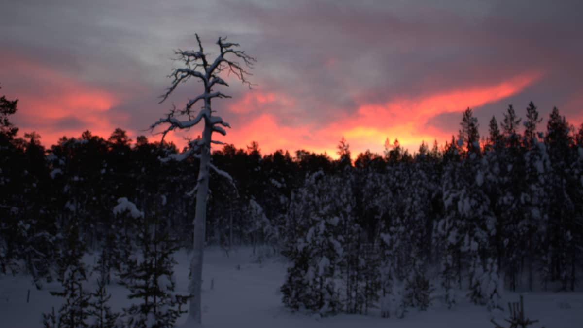 Finland passes winter's midway point | News | Yle Uutiset