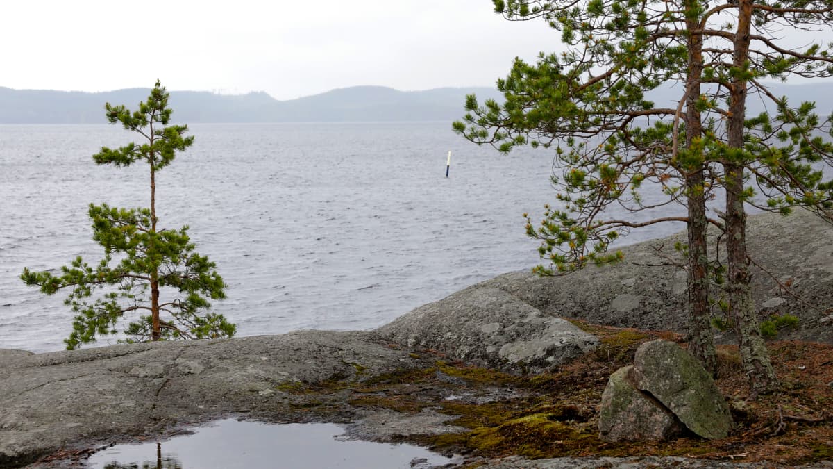 Päijänteen rantaa. 