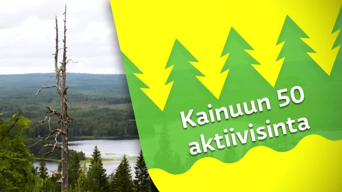 Kainuun 50 aktiivisinta: Haastattelussa Markku Nieminen