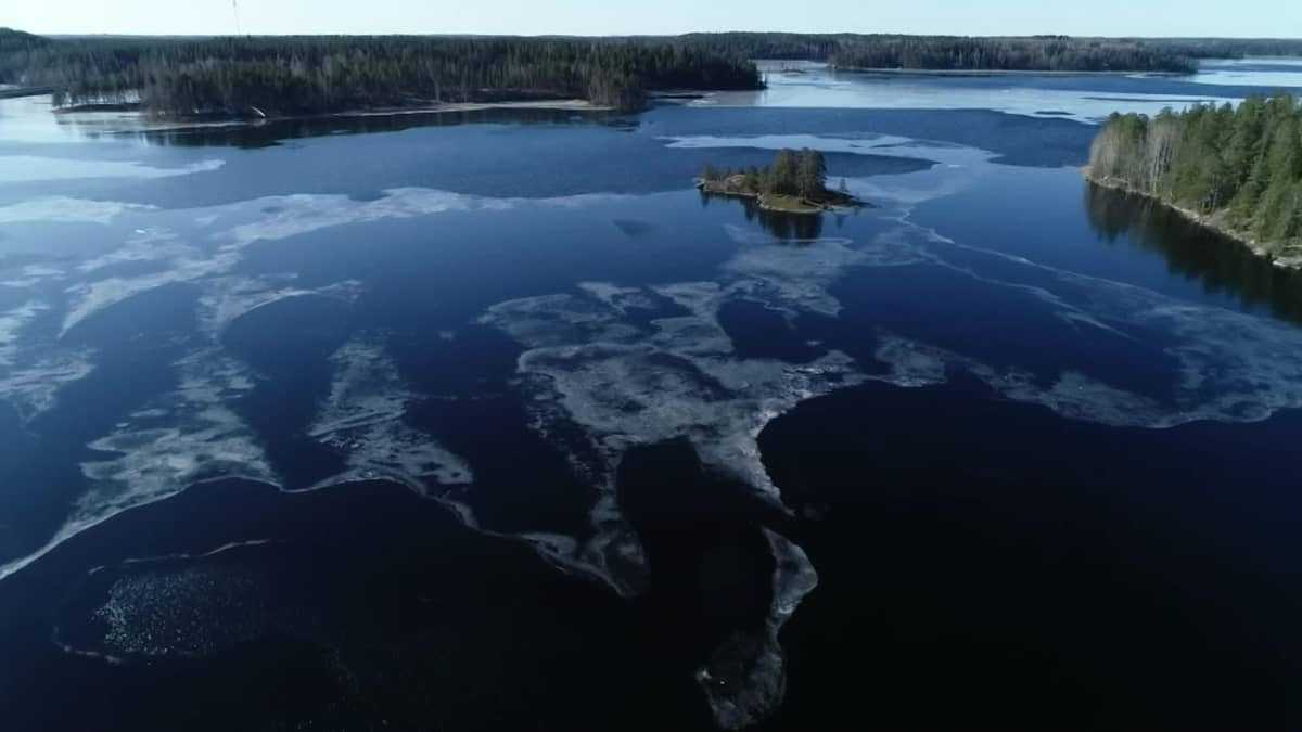 Suomen suurimman järven outo käytös paljastaa ilmastonmuutoksen voiman –  rutikuivat rannat muuttuivat satamaa uhkaaviksi tulviksi