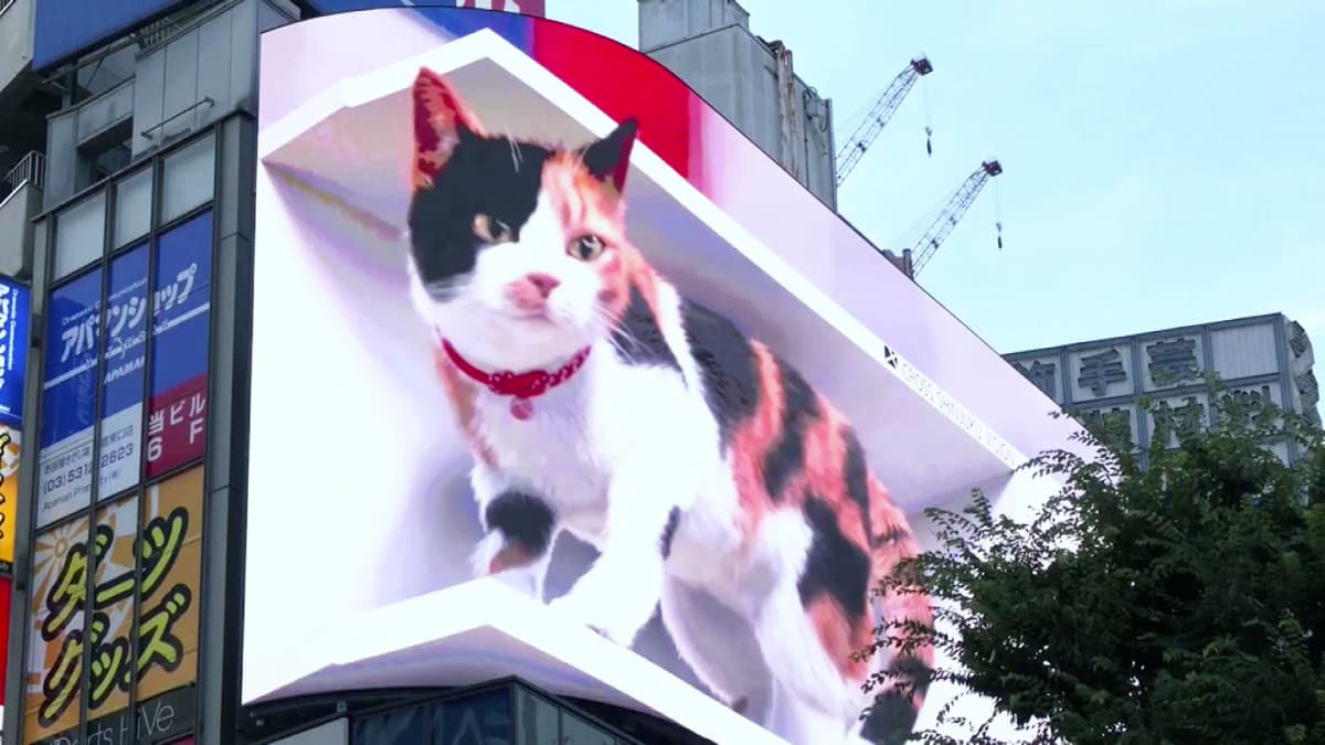Pilkahdus iloa koronakurjimuksen keskelle – jättiläismäinen 3D-kissa  ilahduttaa ohikulkijoita Tokiossa