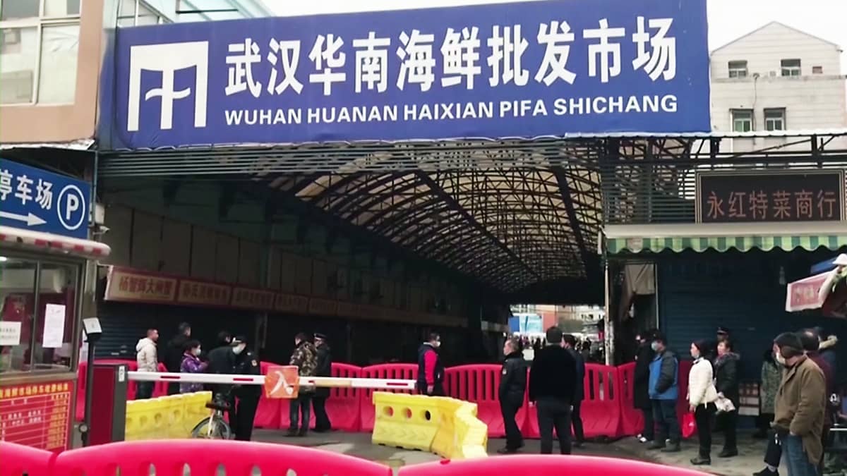 Tuore selvitys: Ensimmäinen koronatartunta sittenkin suoraan kalatorilta