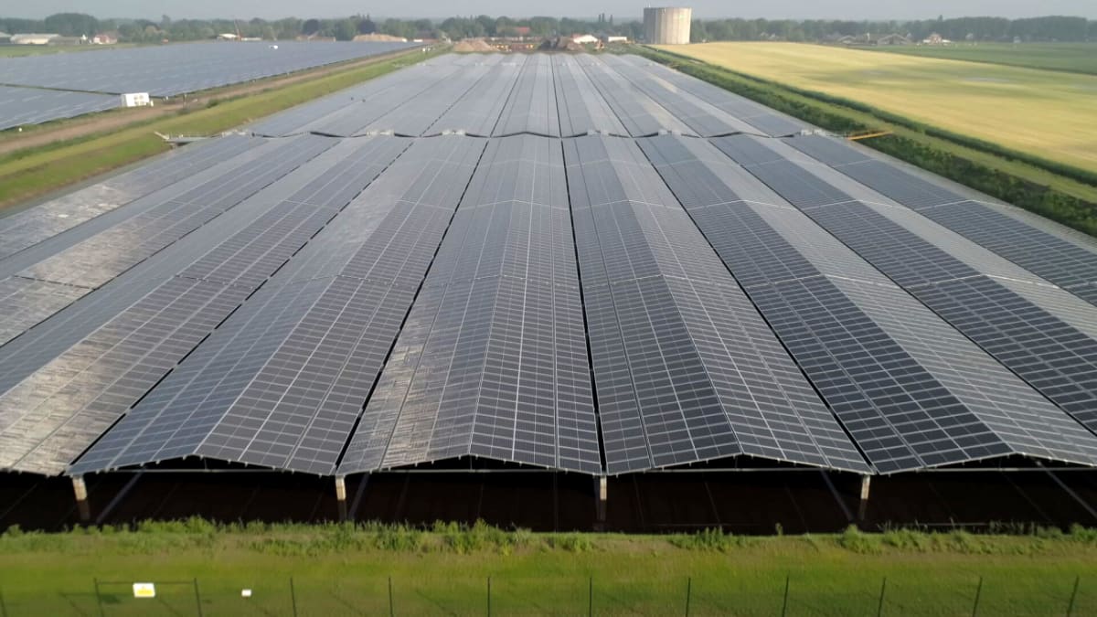 Hollanti harppasi Euroopan ykköseksi aurinkosähkön tuotannossa – Yle  selvitti, mikä on sateisen maan salaisuus