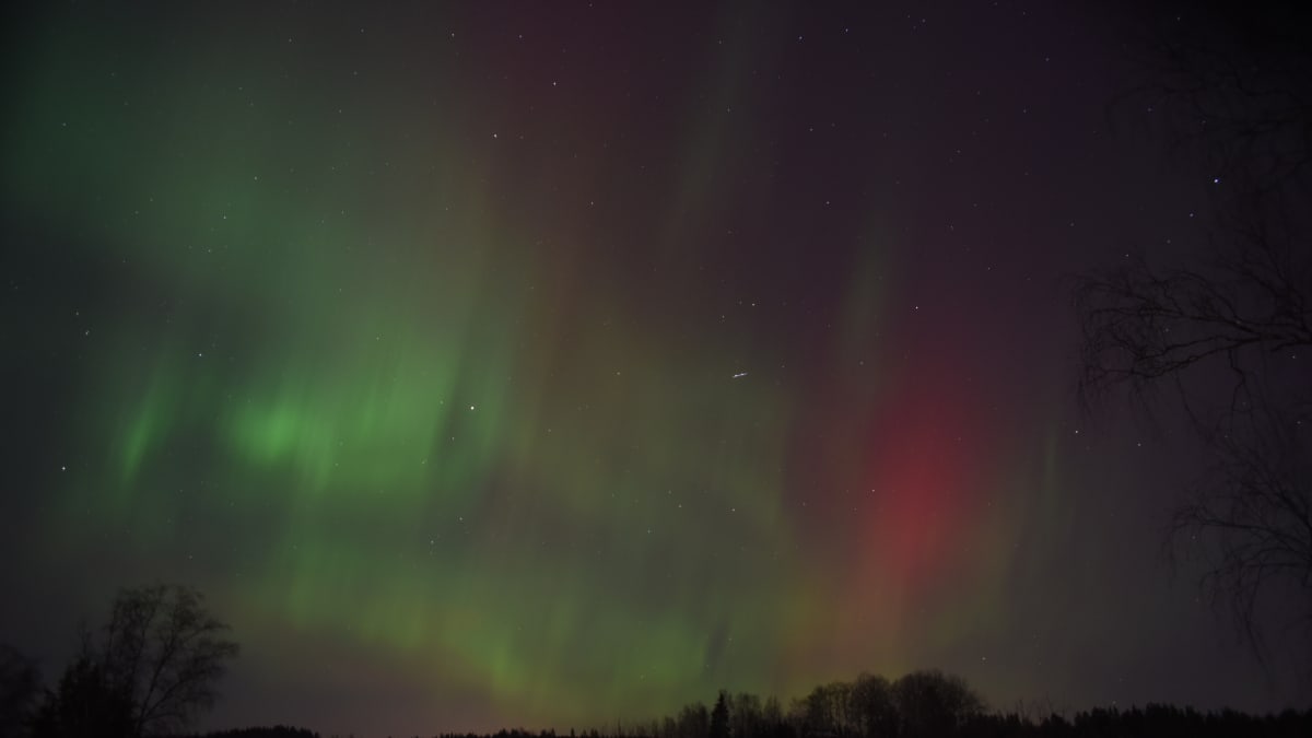 Revontulet leimuavat Etelä-Suomen taivaalla myös ensi yönä – tutkija  kertoo, missä ja monelta ne näkyvät parhaiten