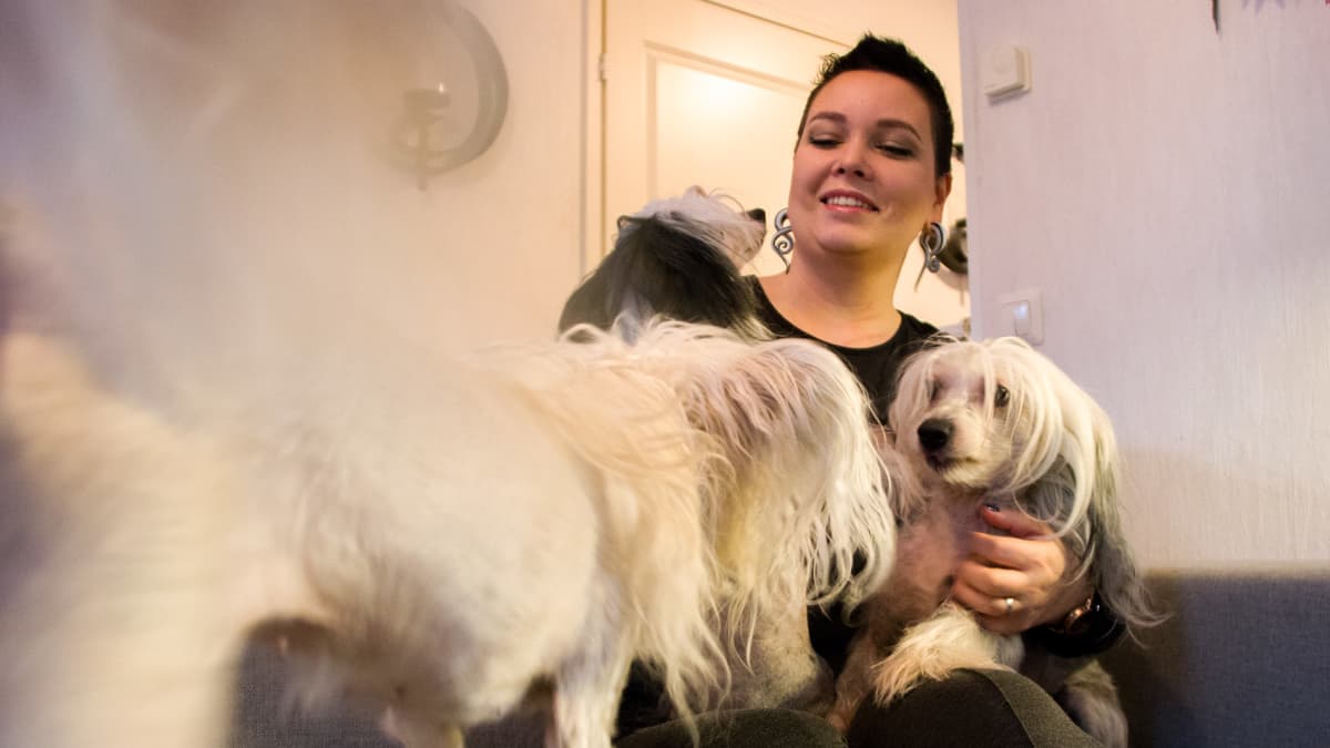 Reeta Kuisma koiriensa kanssa
