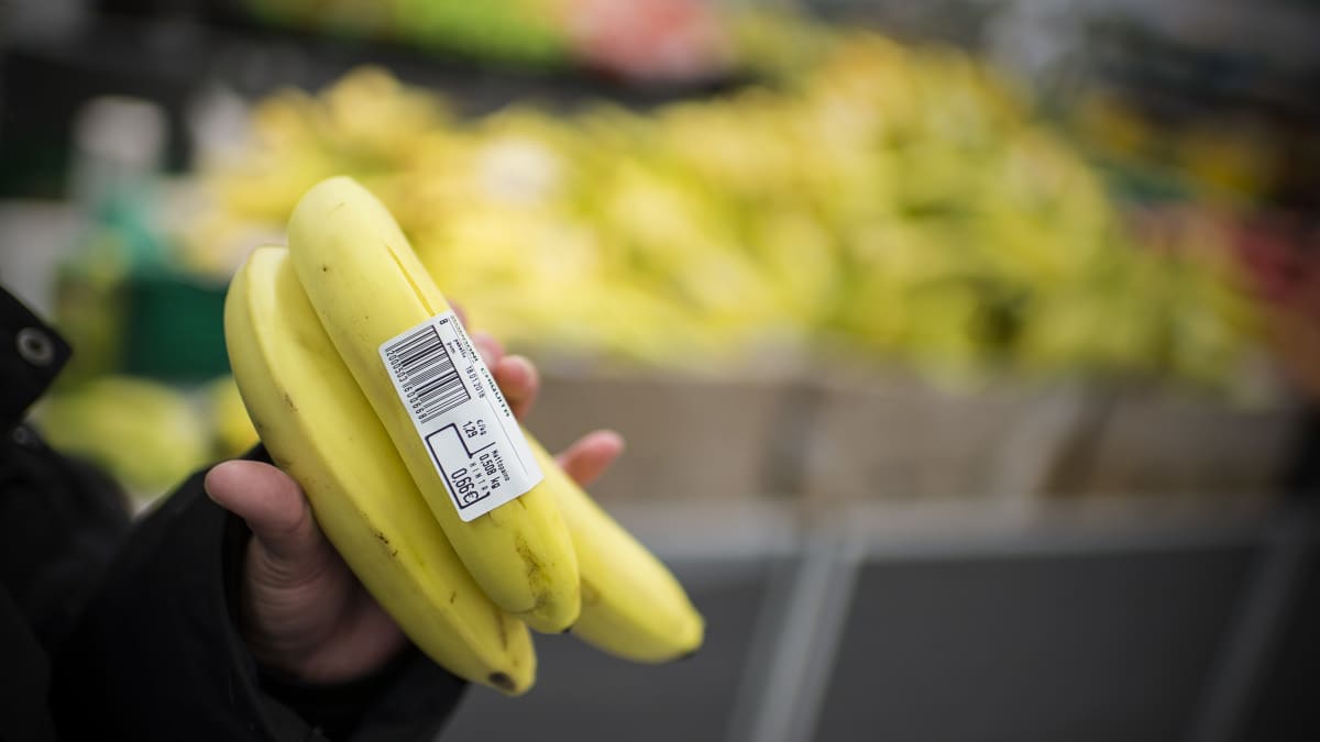 Käsi pitelee banaaniterttua kaupassa.
