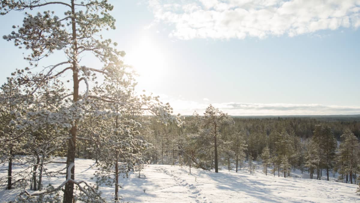 Talvinen maisema Kajaanin Akkovaaralta.