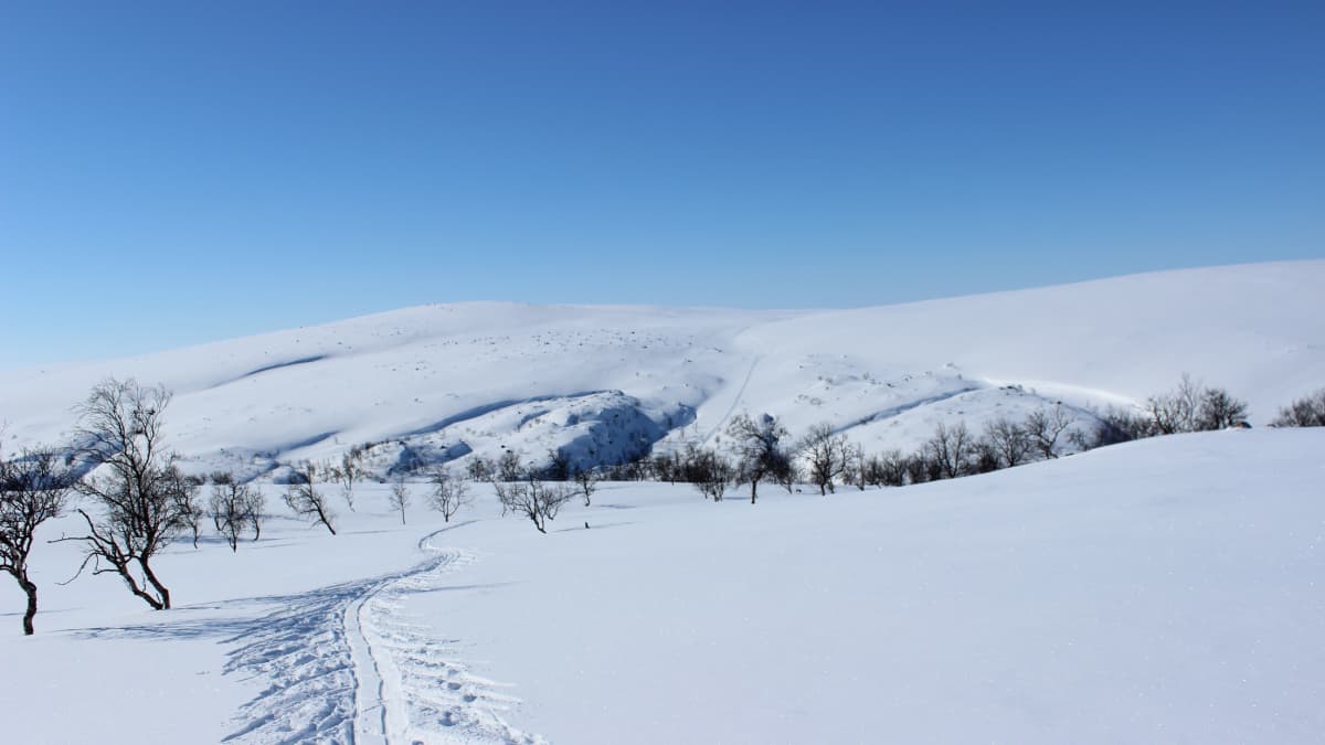 Talvinen tunturimaisema.