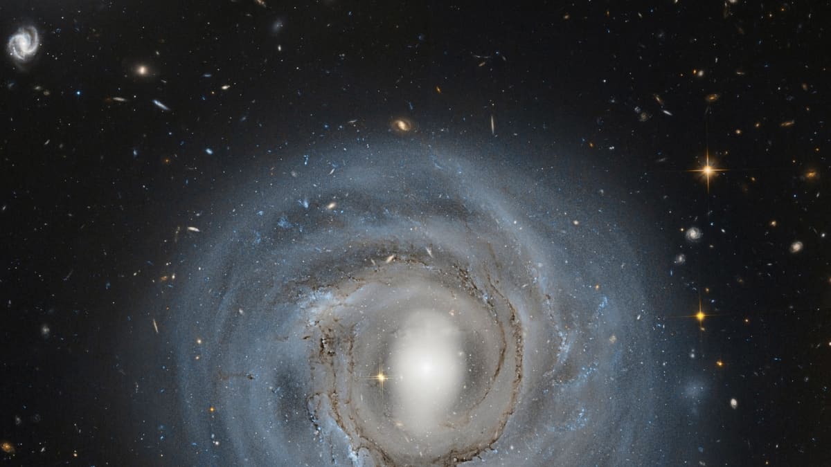 Hubble-avaruusteleskoopin kuva 310 miljoonan valovuoden päässä sijaitsevasta NGC 4921 -galaksista.