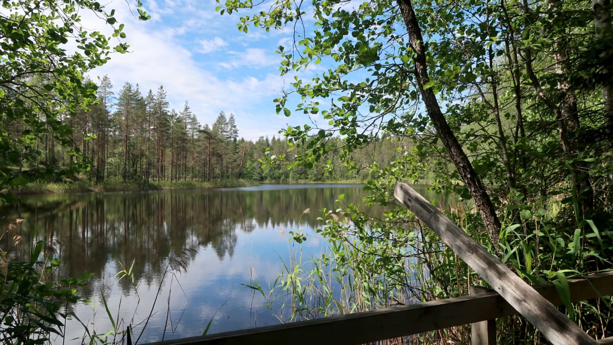 Ala-Jalkajärvi
