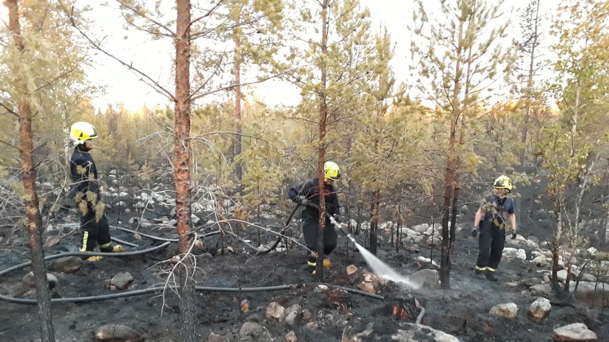 Palomiehet sammuttavat Kokkolan Hillinkylässä maastopaloa