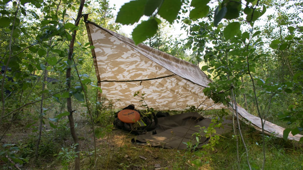 Laavu telttakankaasta kesällä metsässä.