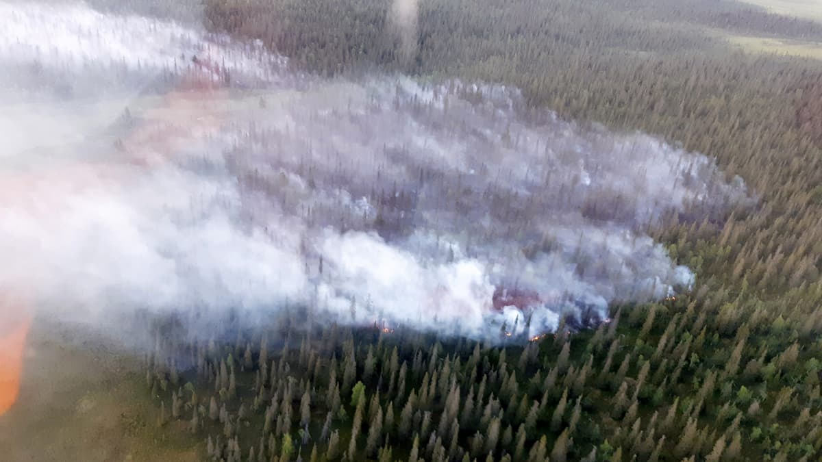 Metsää palaa Kittilän Raijankiselällä 18. heinäkuuta.