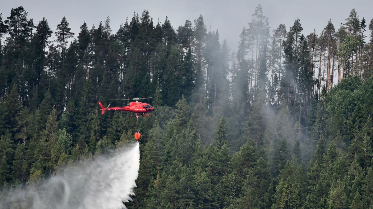 Sammutushelikopteri taltutti sunnuntaina metsäpaloa lähellä Bräcken kuntaa Pohjois-Ruotsissa.