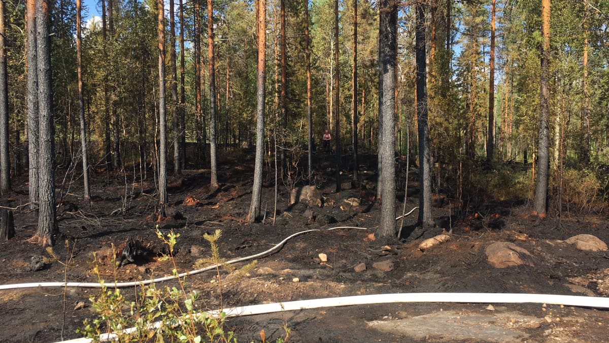 Maastopalo ja metsäpaloja on sammuteltu eri puolilla Suomea.