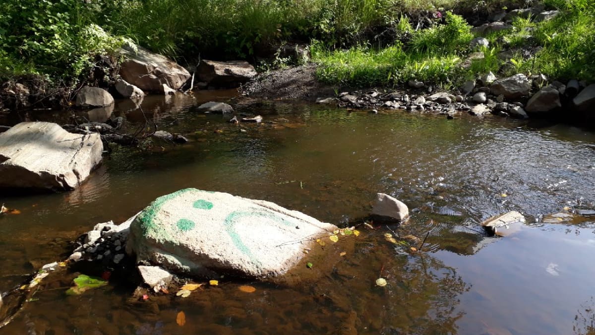 Matalalla olevan Pajuluoman pohjasta paljastuneeseen kiveen on maalattu surullinen hymiö. Kuva 25.8.2018