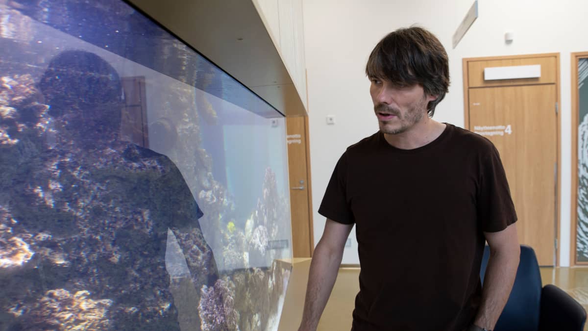 Meri- ja ympäristöbiologi, tutkimussukeltaja, Sealifen intendentti Markus Dernjatin on suunnitellut ja toteuttanut Uuden lastensairaalan akvaarion.