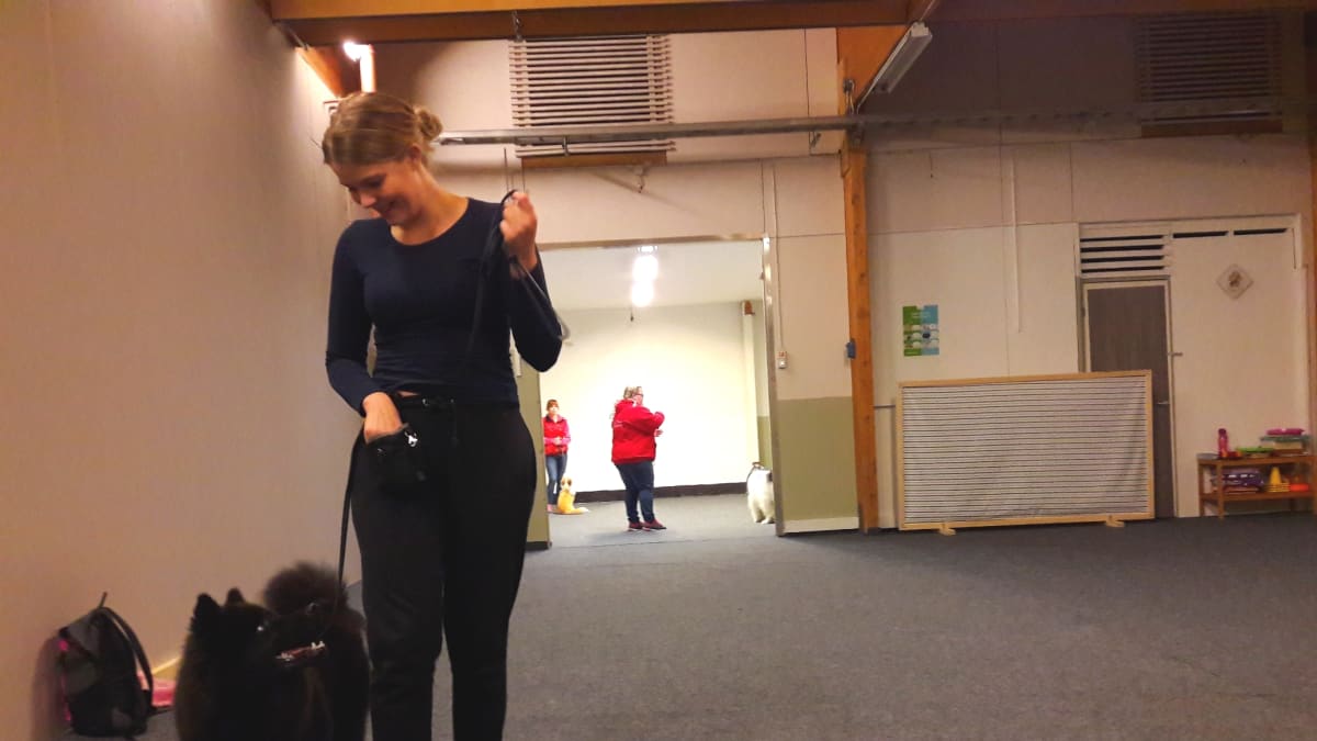Jenni Niemelä ja Kelvin-koira koulutustreeneissä Kotkassa.
