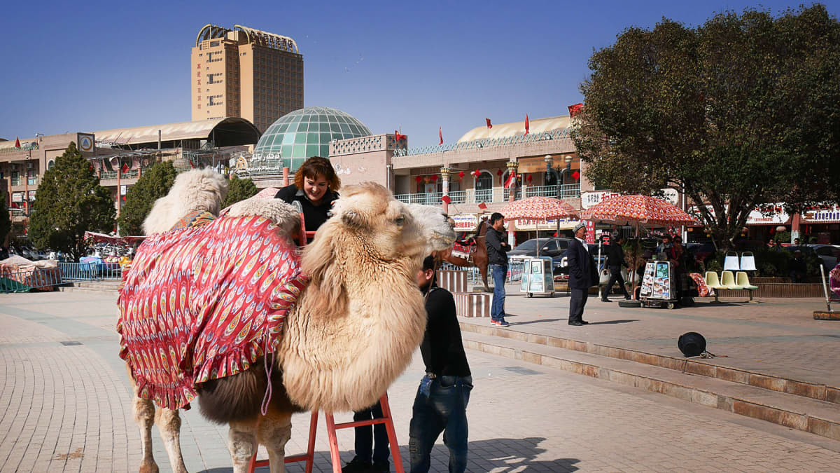 nainen kiipeää kamelin selkään aukiolla