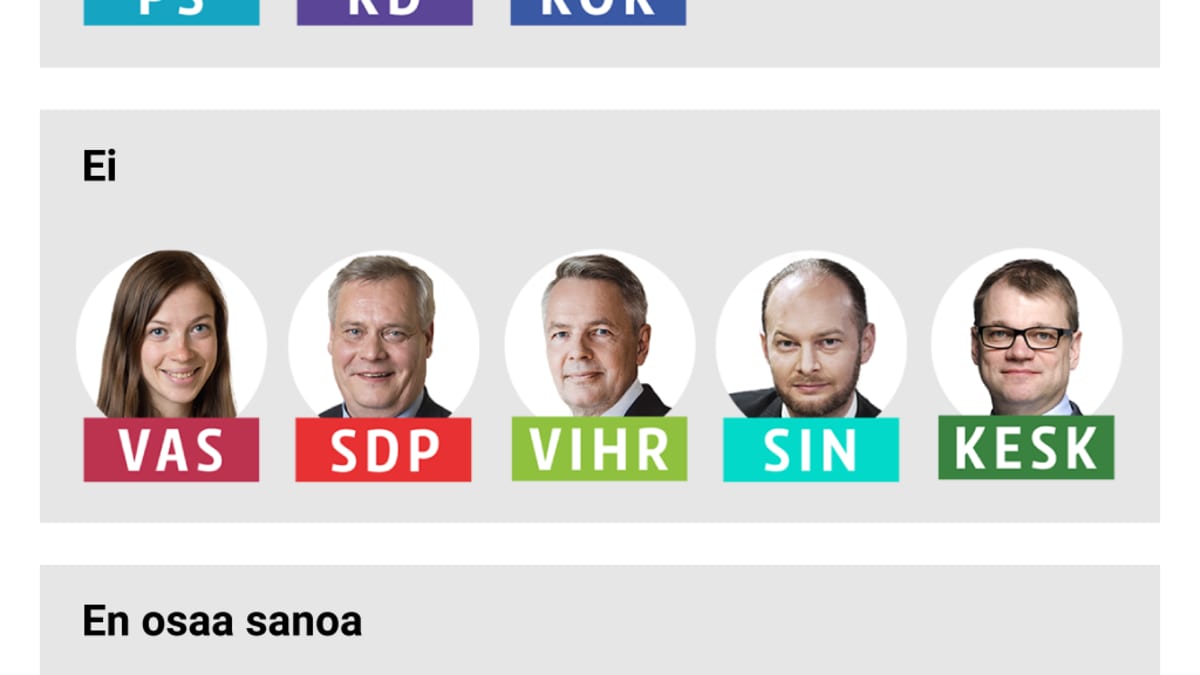 Puoluejohtajakysely