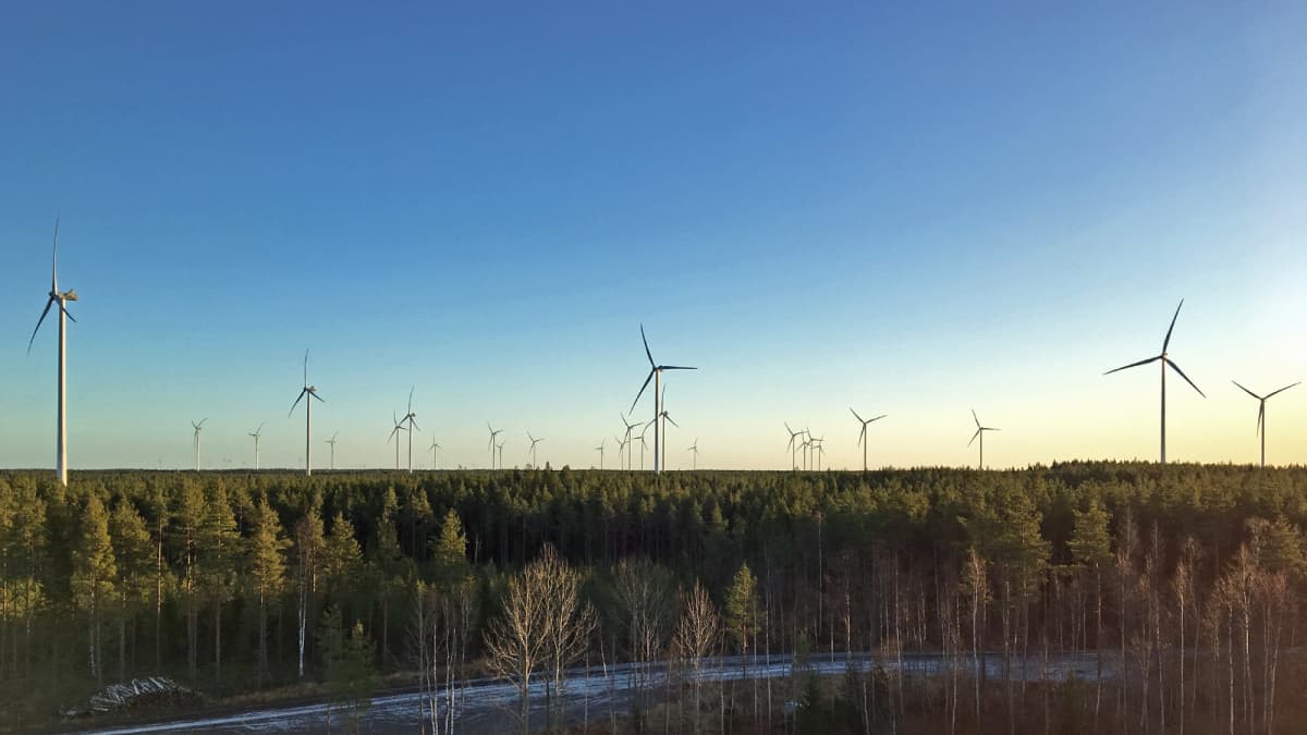 Tuulivoimaloita Kalajoen Miilukankaalla.
