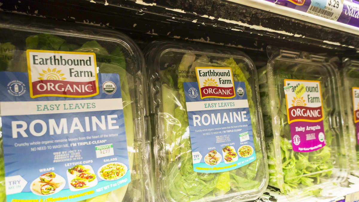 Romaine-salaattirasioita.