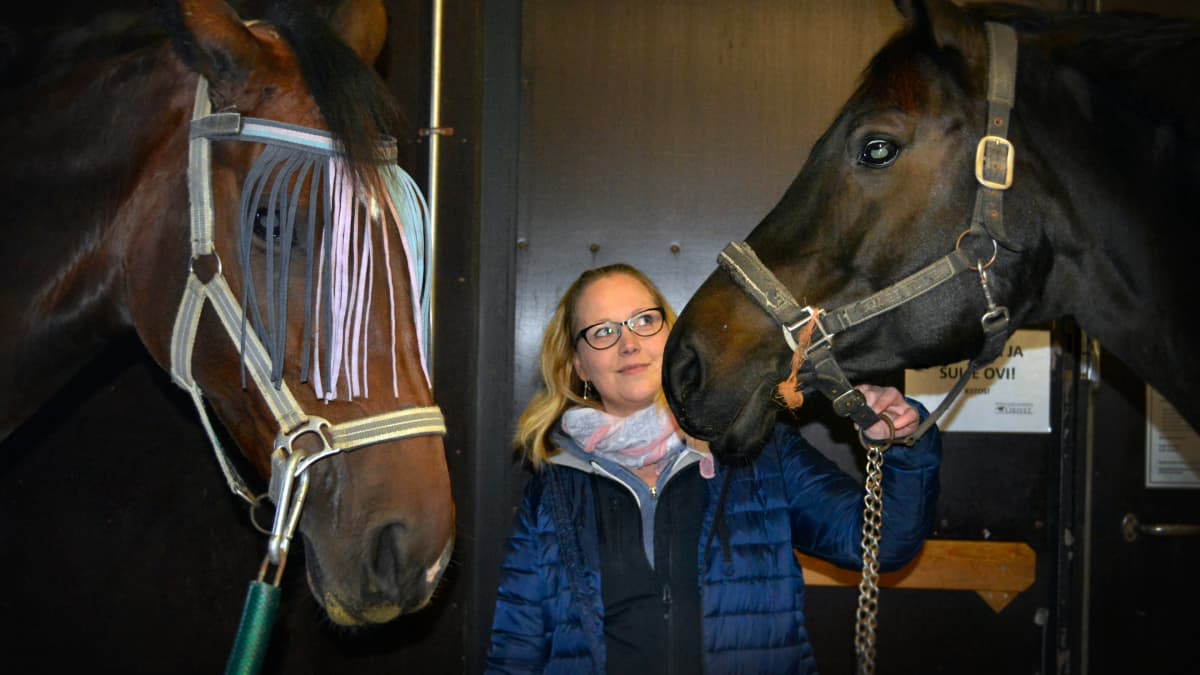 Heli-Maija Vehkalahti kahden hevosen kanssa Orivet -hevosklinikalla.