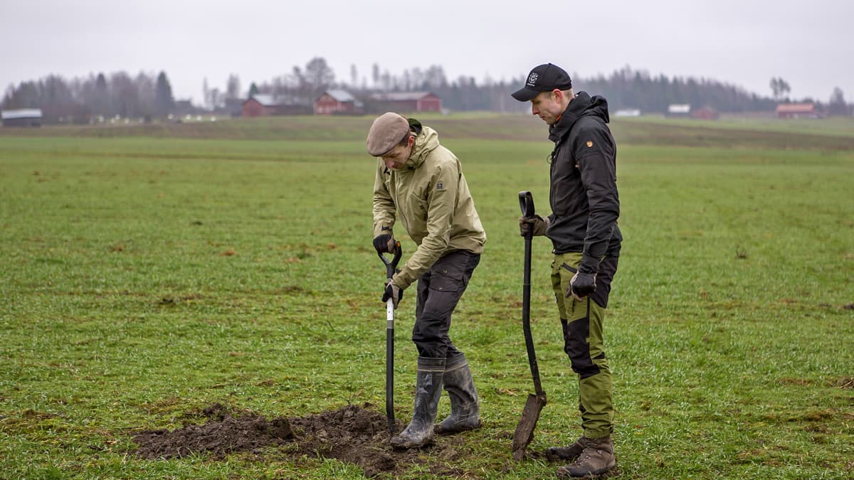 Juuso Joona ja Antti Lähde tutkivat maaperää pellolla kaivamalla sitä lapiolla.