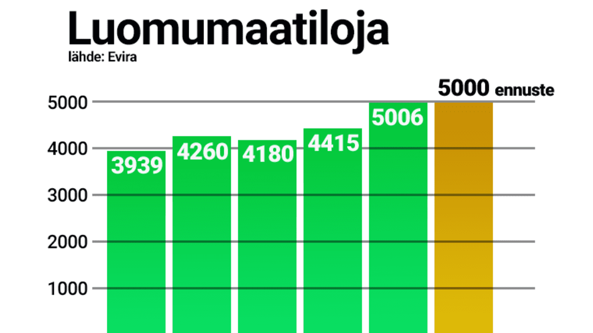 Luomutilojen määrä