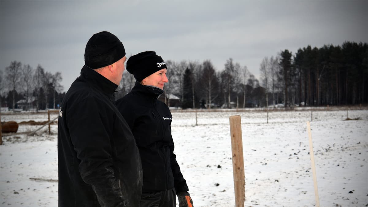 Mustasaarelaiset maatalousyrittäjät Taru ja Joakim Joutsi aloittivat villasikojen kasvatuksen vuonna 2015.