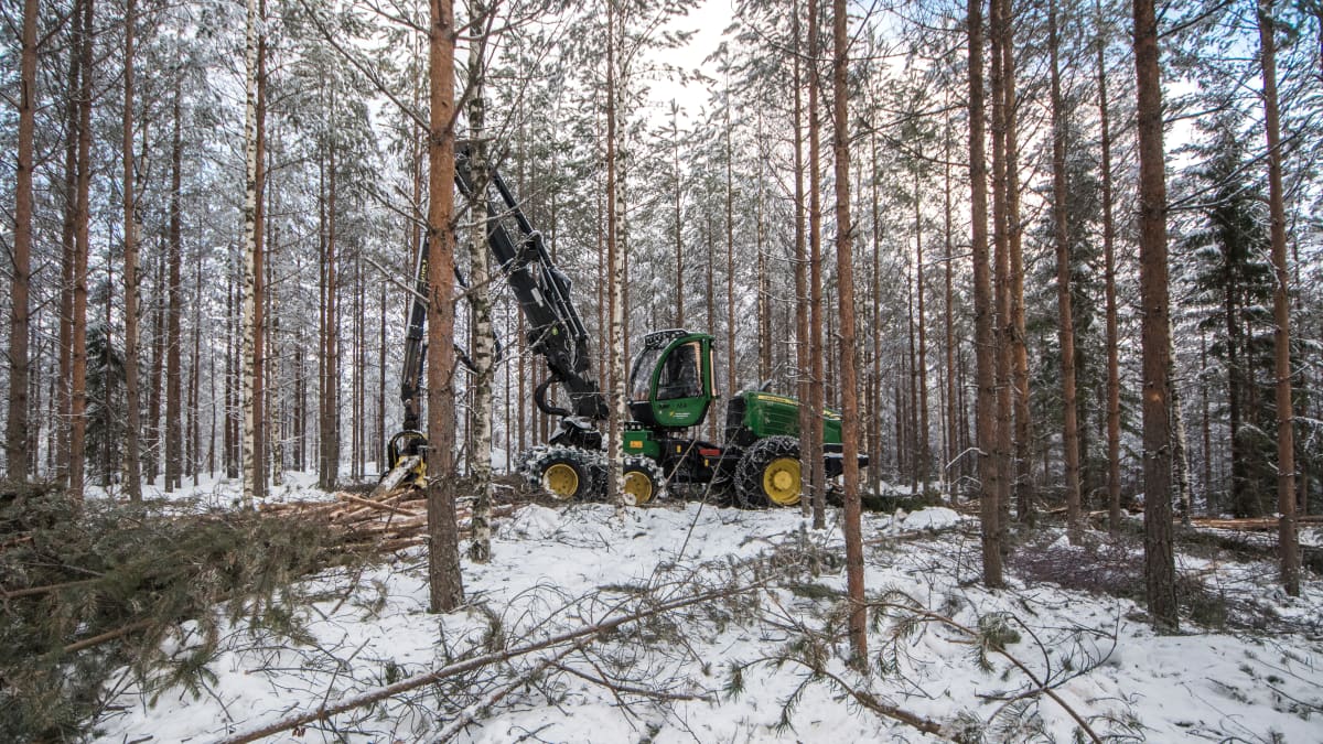 Metsäkone odottaa opiskelijaa.