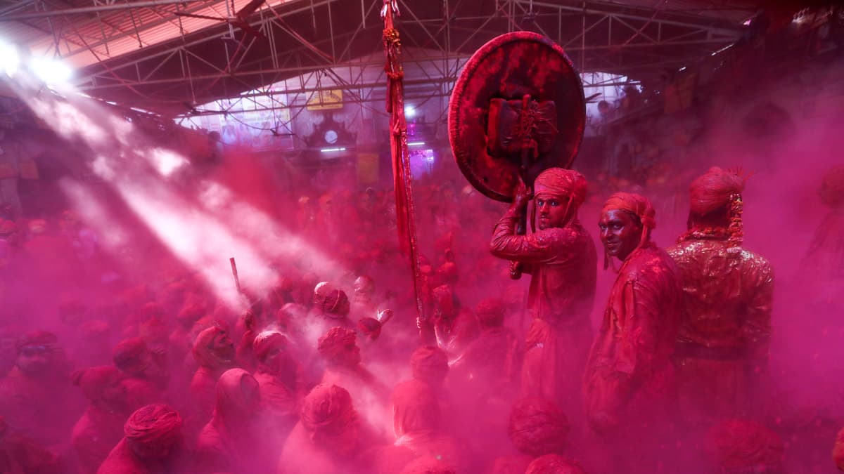 Hindumiehet magentan värisen jauheen peitossa juhlivat festivaalilla.