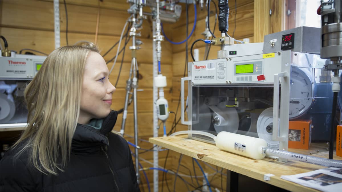 Josefina Nelimarkka, Kairos², Hyytiälän metsäasema