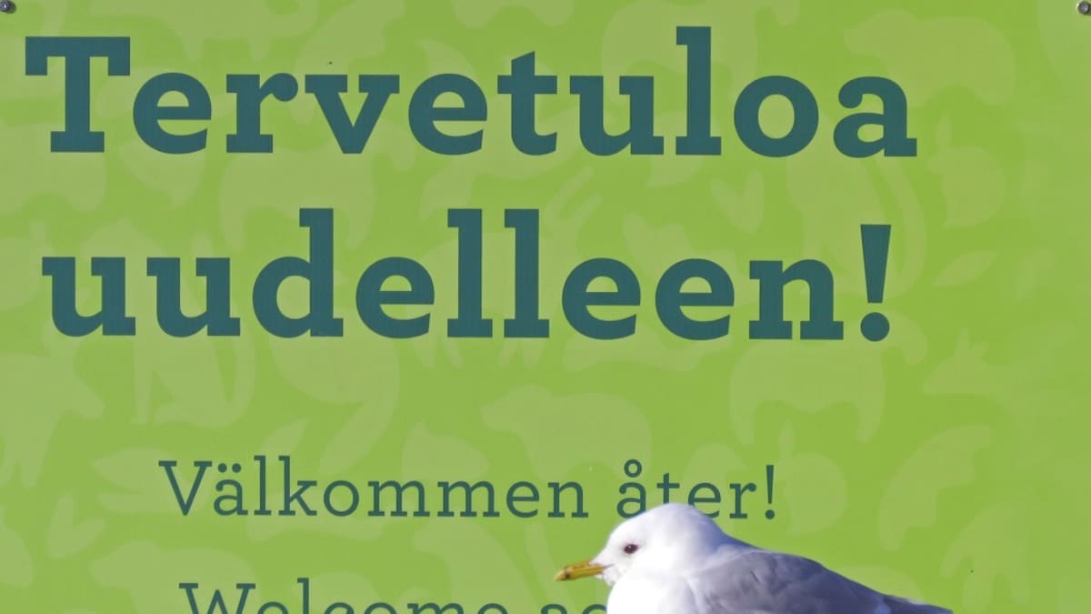 Kalalokki istuu kyltin edessä, kyltissä lukee suomeksi, ruotsiksi ja englanniksi "Tervetuloa uudelleen!"