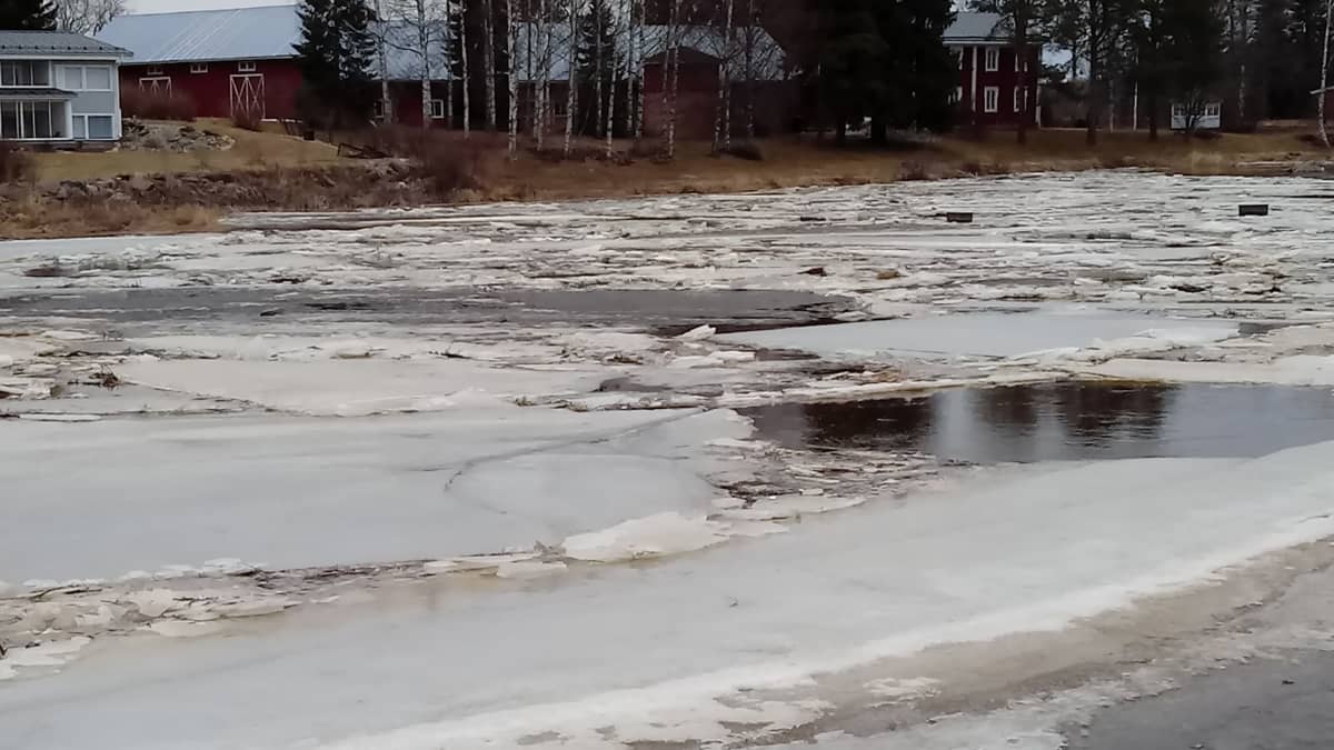 Kyrönjoella jäidenlähtö on ajankohtainen juuri nyt. 