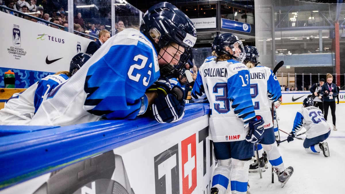 Pettyneet Leijonat