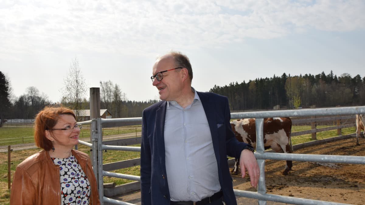 Mies ja nainen katsovat toisiaan, takana lehmät ulkoilevat.