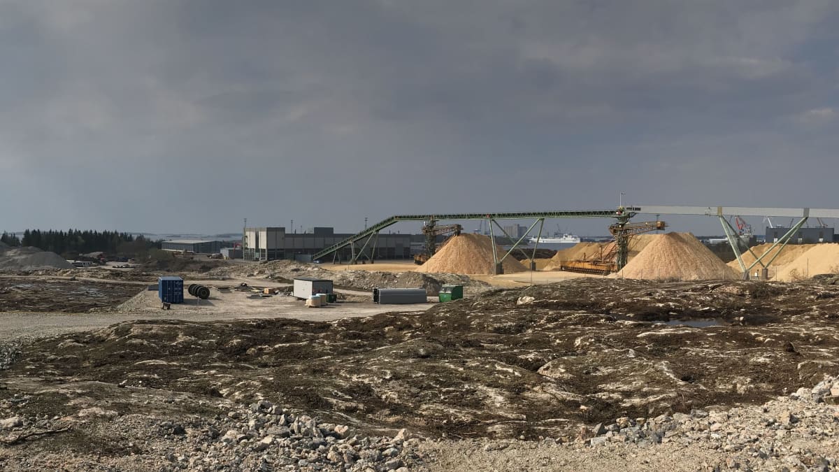 Uuden mäntysahan paikka Raumalla. Metsä Fibre suunnittelee investointia.