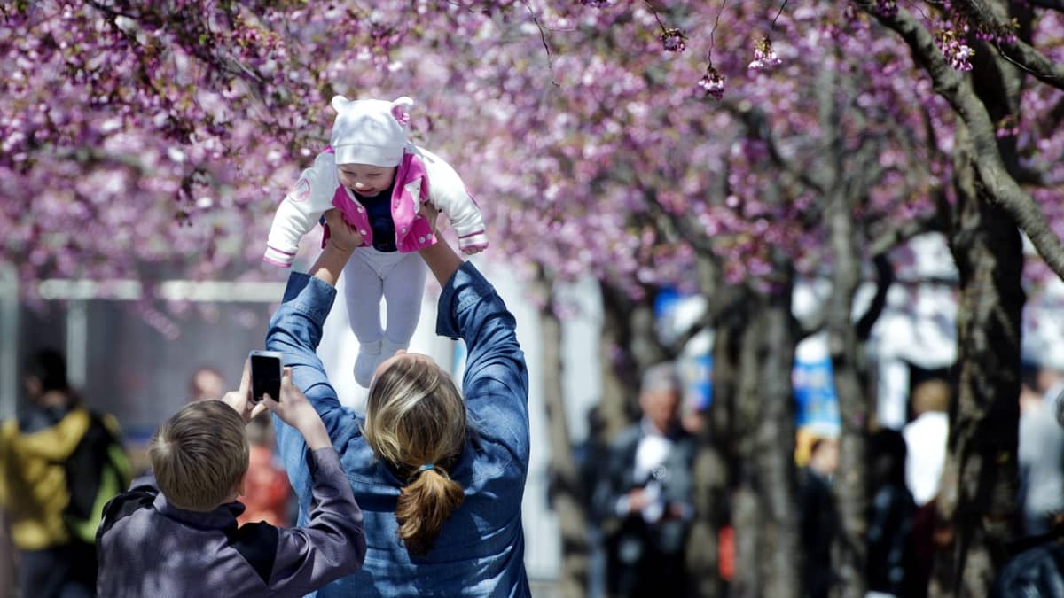 Nainen nostaa vauvaa ilmaan. Taustalla kukkivia kirsikkapuita.