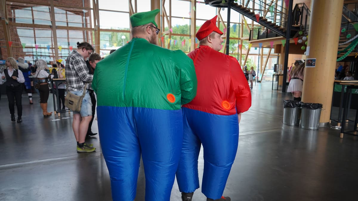 Luigi, Super Mario, Nintendo, Desucon, cosplay 