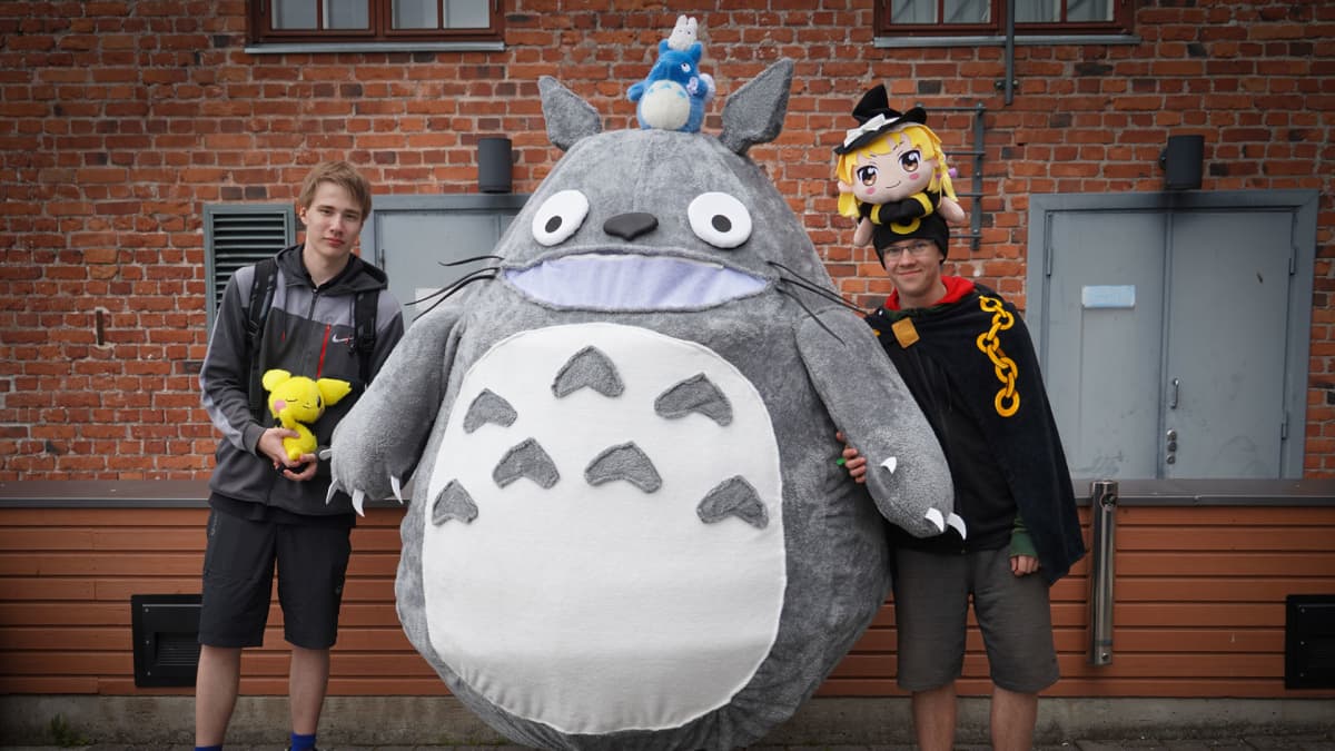 Totoro, Desucon, cosplay